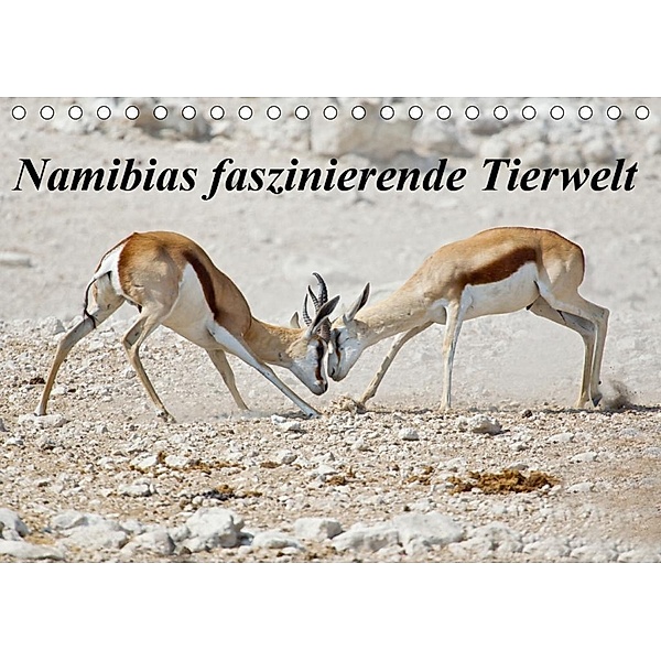 Namibias faszinierende Tierwelt (Tischkalender 2020 DIN A5 quer), Wilfried Martin
