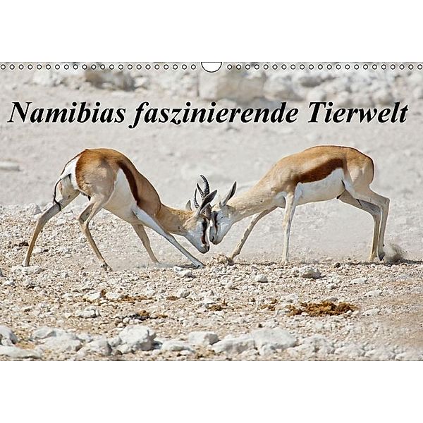 Namibias faszinierende Tierwelt (Wandkalender 2017 DIN A3 quer), Wilfried Martin