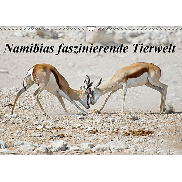 Namibias faszinierende Tierwelt (Wandkalender 2019 DIN A3 quer), Wilfried Martin