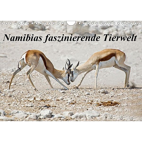 Namibias faszinierende Tierwelt (Wandkalender 2021 DIN A4 quer), Wilfried Martin