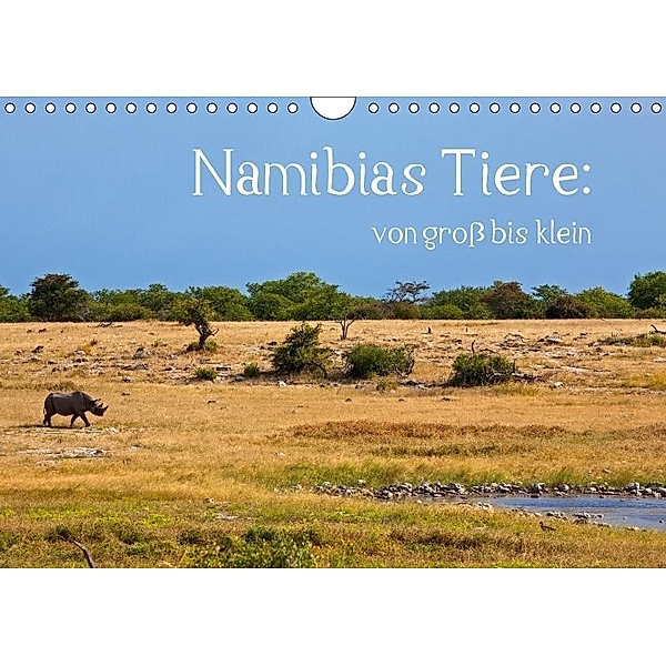 Namibias Tiere: von groß bis klein (Wandkalender 2017 DIN A4 quer), Ingo Paszkowsky
