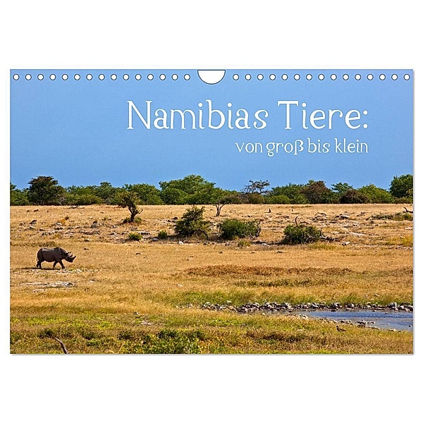 Namibias Tiere: von groß bis klein (Wandkalender 2024 DIN A4 quer), CALVENDO Monatskalender, Ingo Paszkowsky