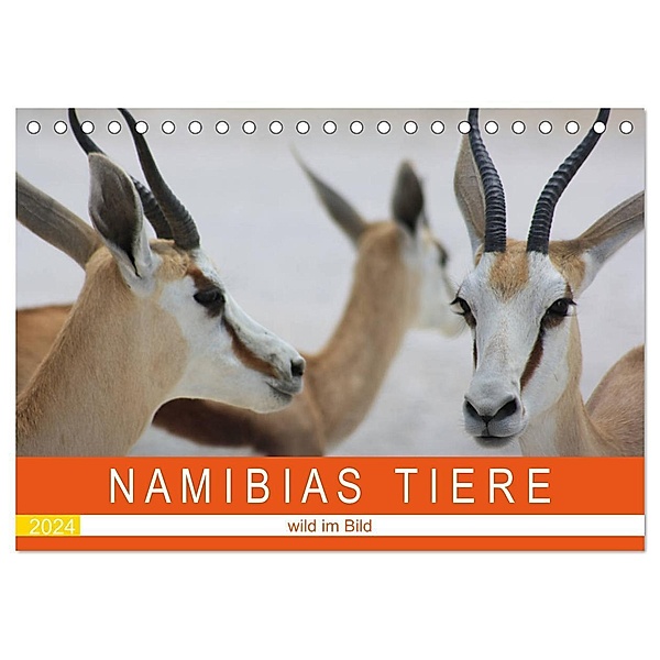 Namibias Tiere - wild im Bild (Tischkalender 2024 DIN A5 quer), CALVENDO Monatskalender, Brigitte Franke-Kunz
