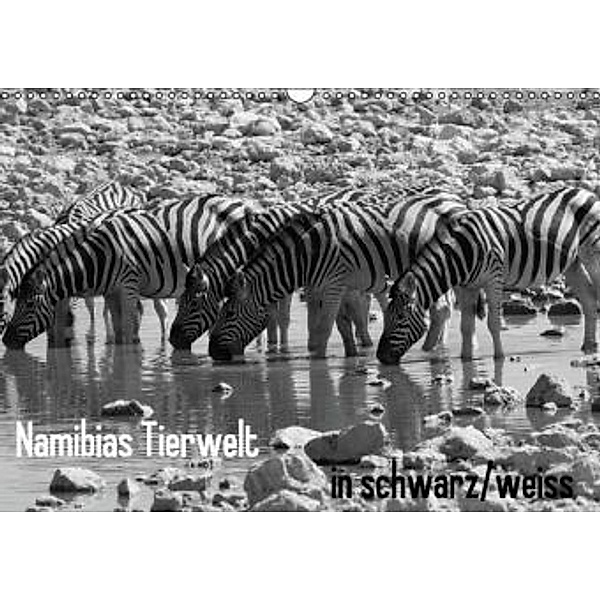 Namibias Tierwelt in schwarz weiss (Wandkalender 2014 DIN A3 quer), Sabine Reuke