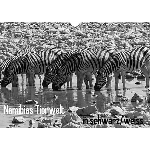 Namibias Tierwelt in schwarz weiss (Wandkalender 2017 DIN A4 quer), Sabine Reuke