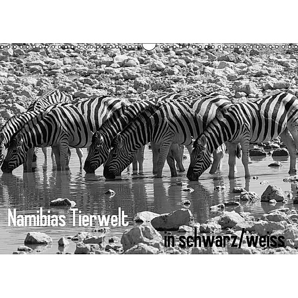 Namibias Tierwelt in schwarz weiss (Wandkalender 2017 DIN A3 quer), Sabine Reuke
