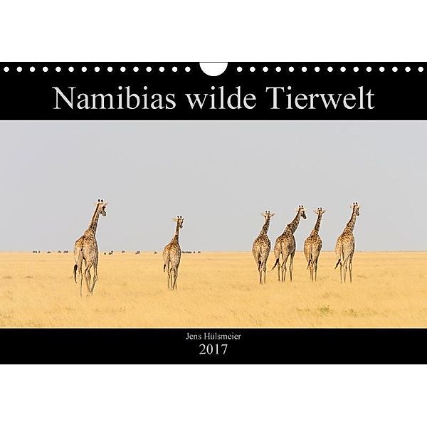 Namibias wilde Tierwelt (Wandkalender 2017 DIN A4 quer), Jens Hülsmeier