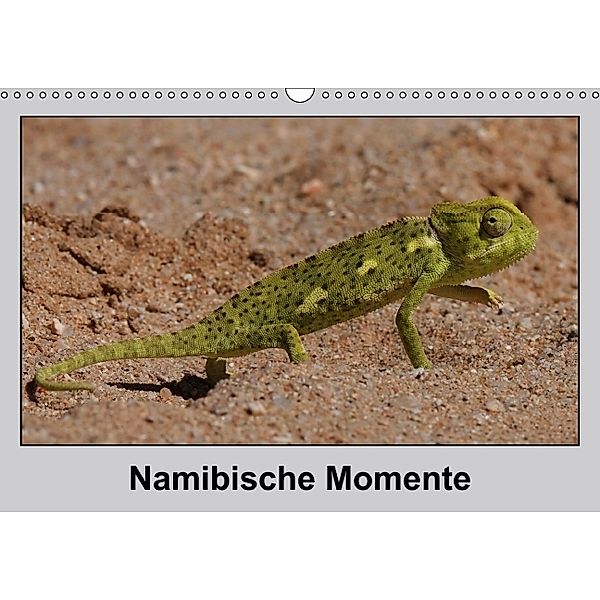Namibische Momente (Wandkalender 2014 DIN A3 quer)