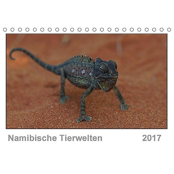 Namibische Tierwelten (Tischkalender 2017 DIN A5 quer), Gerald Wolf