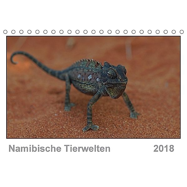 Namibische Tierwelten (Tischkalender 2018 DIN A5 quer), Gerald Wolf