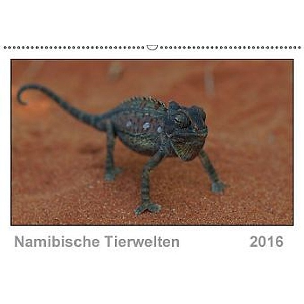 Namibische Tierwelten (Wandkalender 2016 DIN A2 quer), Gerald Wolf