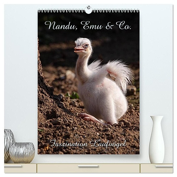 Nandu, Emu & Co. (hochwertiger Premium Wandkalender 2024 DIN A2 hoch), Kunstdruck in Hochglanz, Martina Berg