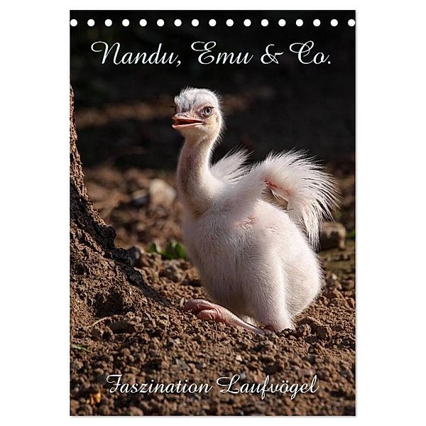 Nandu, Emu & Co. (Tischkalender 2024 DIN A5 hoch), CALVENDO Monatskalender, Martina Berg