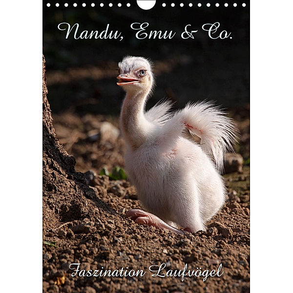 Nandu, Emu & Co. (Wandkalender 2019 DIN A4 hoch), Martina Berg