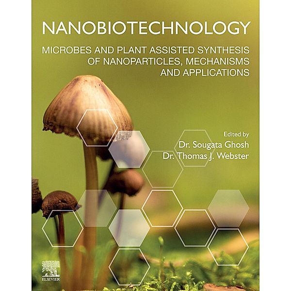 Nanobiotechnology