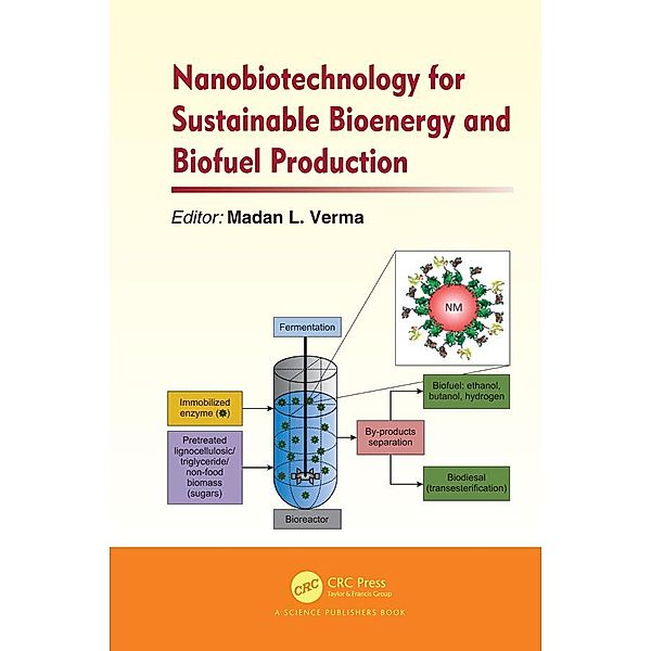 Nanobiotechnology for Sustainable Bioenergy and Biofuel Production