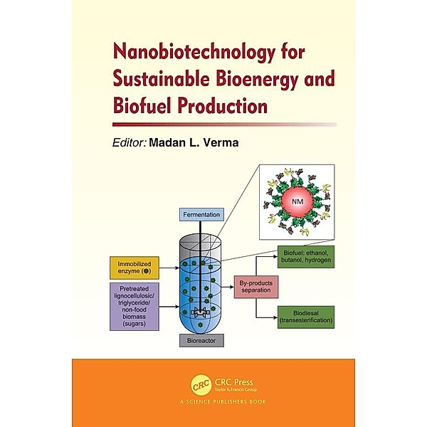 Nanobiotechnology for Sustainable Bioenergy and Biofuel Production