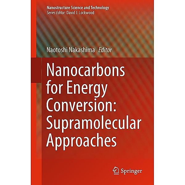 Nanocarbons for Energy Conversion: Supramolecular Approaches / Nanostructure Science and Technology