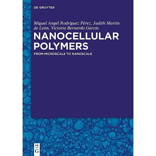 Nanocellular Polymers, Miguel Angel Rodríguez Pérez, Judith Martín de León, Victoria Bernardo García