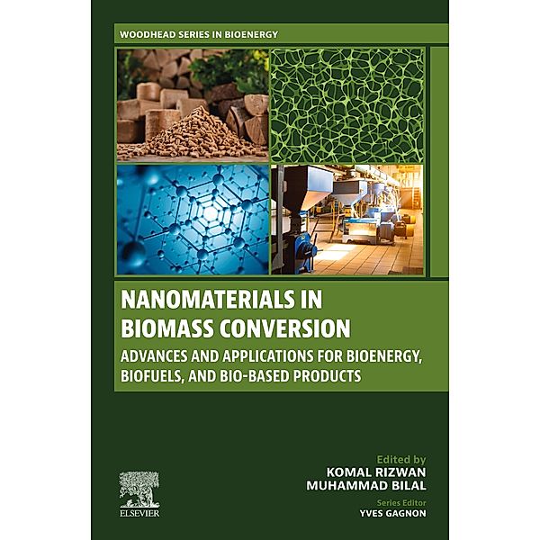 Nanomaterials in Biomass Conversion