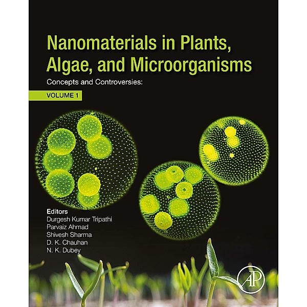 Nanomaterials in Plants, Algae, and Microorganisms