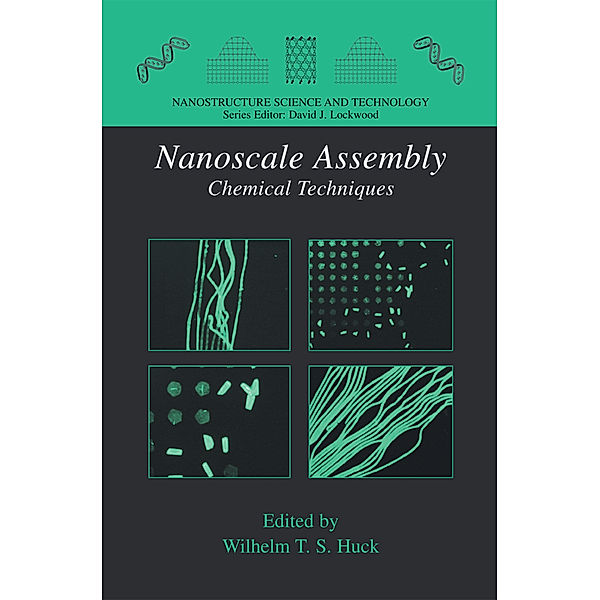 Nanoscale Assembly