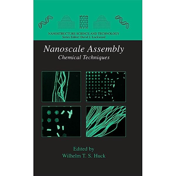 Nanoscale Assembly / Nanostructure Science and Technology