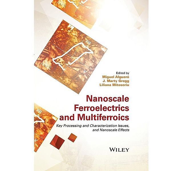 Nanoscale Ferroelectrics and Multiferroics