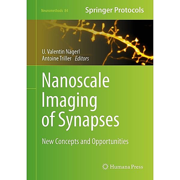 Nanoscale Imaging of Synapses / Neuromethods Bd.84