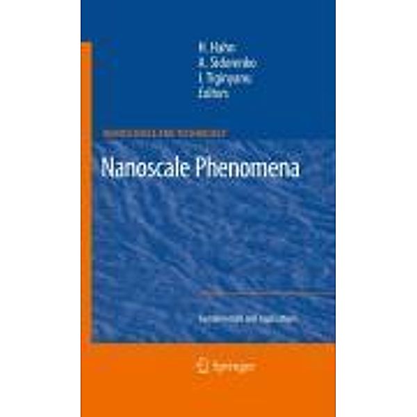 Nanoscale Phenomena / NanoScience and Technology, Horst Hahn, Anatoli Sidorenko, Ion Tiginyanu