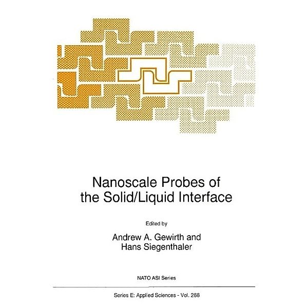 Nanoscale Probes of the Solid/Liquid Interface / NATO Science Series E: Bd.288