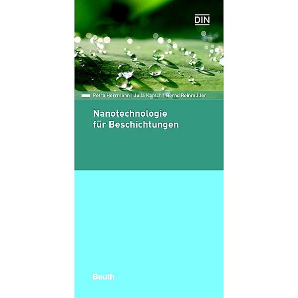 Nanotechnologie für Beschichtungen, Bernd Reinmüller