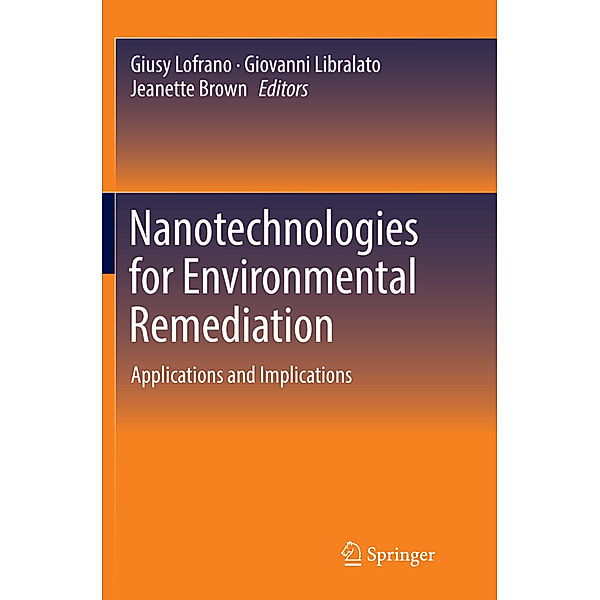 Nanotechnologies for Environmental Remediation