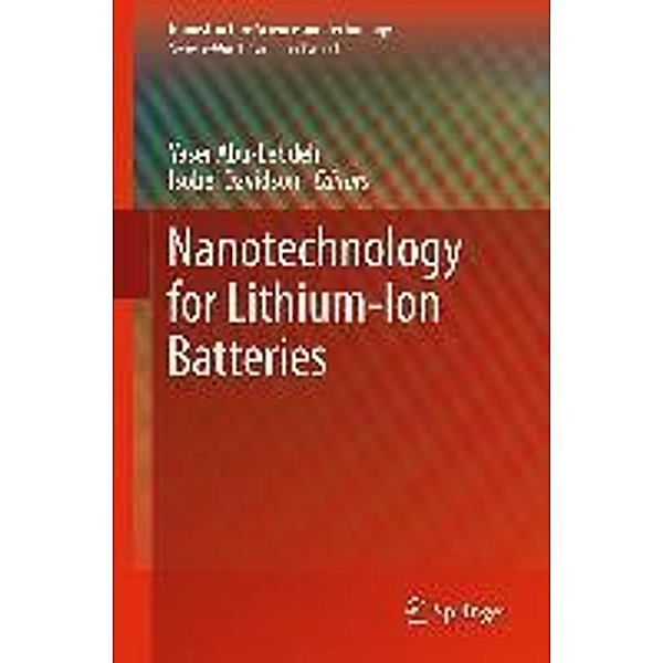Nanotechnology for Lithium-Ion Batteries / Nanostructure Science and Technology