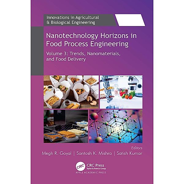 Nanotechnology Horizons in Food Process Engineering