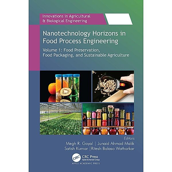 Nanotechnology Horizons in Food Process Engineering