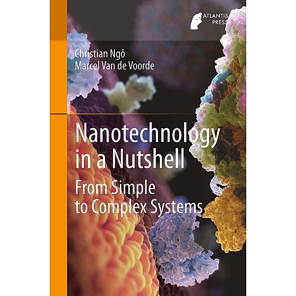Nanotechnology in a Nutshell, Christian Ngô, Marcel van de Voorde