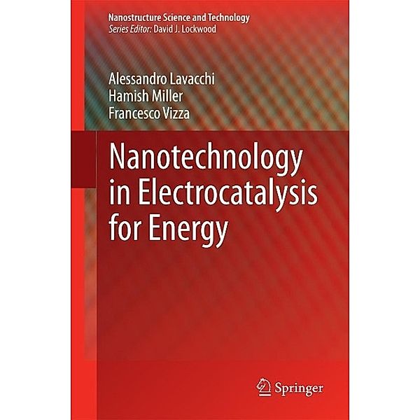 Nanotechnology in Electrocatalysis for Energy / Nanostructure Science and Technology Bd.170, Alessandro Lavacchi, Hamish Miller, Francesco Vizza