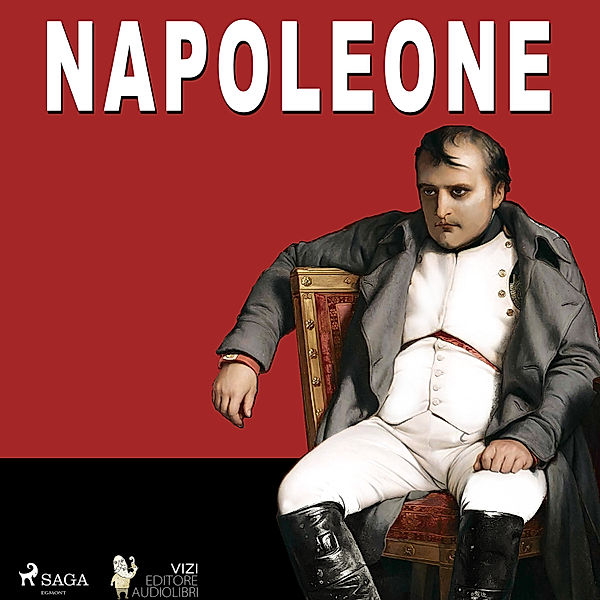 Napoleone, Giancarlo Villa, Vizi Editore