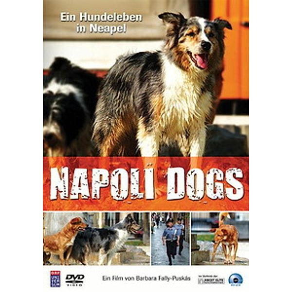 Napoli Dogs - Ein Hundeleben in Neapel, Diverse Interpreten