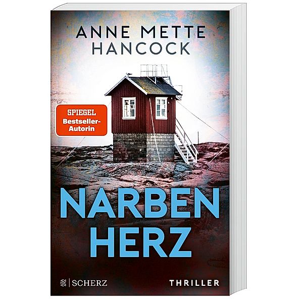 Narbenherz / Heloise Kaldan Bd.2, Anne Mette Hancock