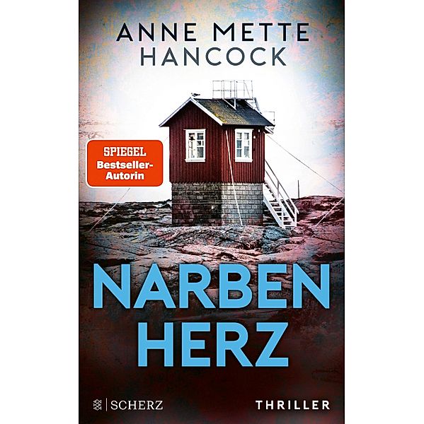 Narbenherz / Heloise Kaldan Bd.2, Anne Mette Hancock