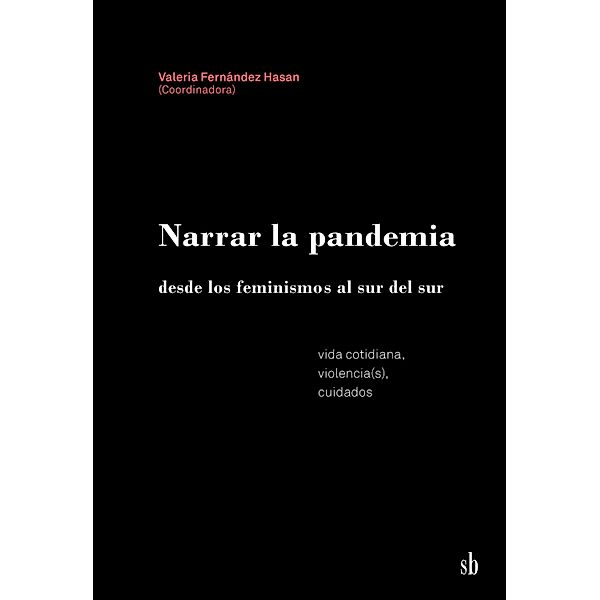 Narrar la pandemia desde los feminismos al sur del sur, Valeria Fernández Hasan