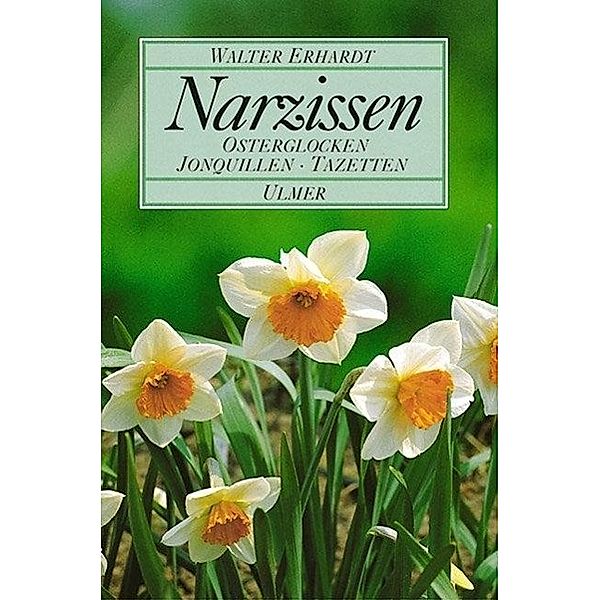 Narzissen, Walter Erhardt