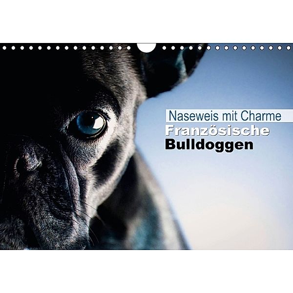 Naseweis mit Charme Französische Bulldoggen (Wandkalender 2014 DIN A4 quer), Calvendo