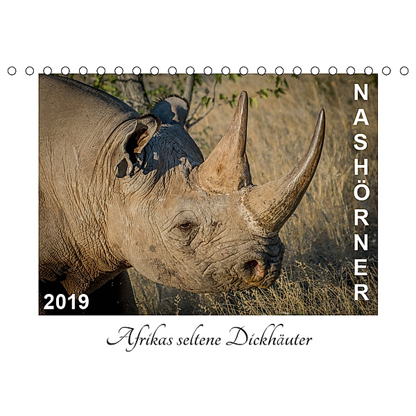 Nashörner - Afrikas seltene Dickhäuter (Tischkalender 2019 DIN A5 quer), Irma van der Wiel