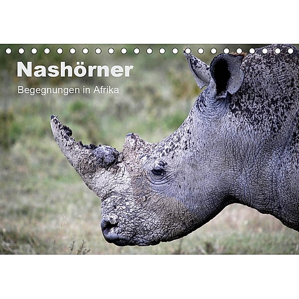 Nashörner - Begegnungen in Afrika (Tischkalender 2020 DIN A5 quer), Michael Herzog