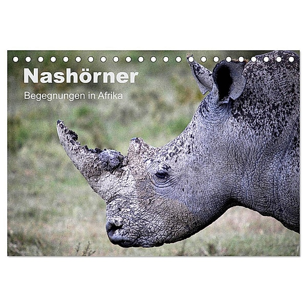 Nashörner - Begegnungen in Afrika (Tischkalender 2024 DIN A5 quer), CALVENDO Monatskalender, Michael Herzog