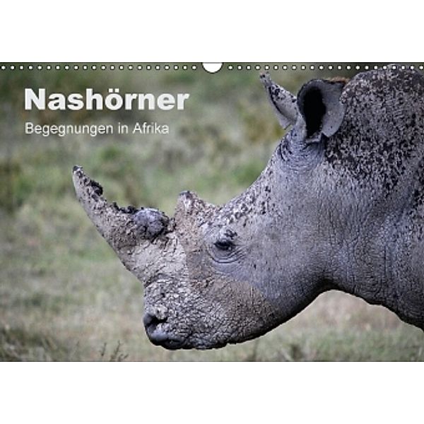 Nashörner - Begegnungen in Afrika (Wandkalender 2016 DIN A3 quer), Michael Herzog