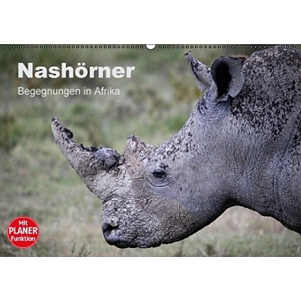 Nashörner - Begegnungen in Afrika (Wandkalender 2016 DIN A2 quer), Michael Herzog